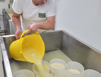 Abfüllung-der-Käselaibe.jpg